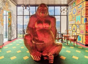 Se alquila apartamento con mucha luz natural en Mata Redonda San José 25-2046