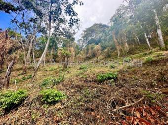 MLS-26-1476 LS VENTA LOTE SAN ISIDRO ALAJUELA