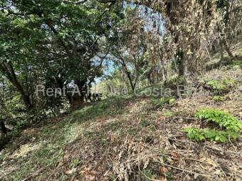 MLS-26-1476 LS VENTA LOTE SAN ISIDRO ALAJUELA