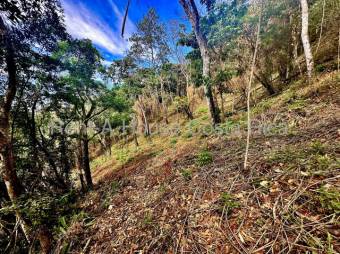 MLS-26-1476 LS VENTA LOTE SAN ISIDRO ALAJUELA