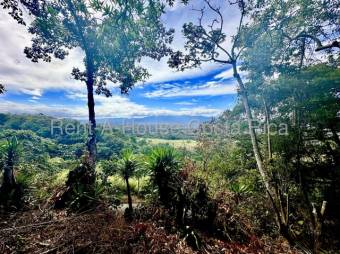 MLS-26-1476 LS VENTA LOTE SAN ISIDRO ALAJUELA