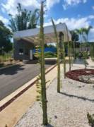 LOT FOR SALE IN PRIVATE RESIDENTIAL COMMUNITY, ALAJUELA, TURRÚCARES 9807288  Price ₡24,000,000 Size