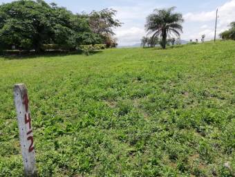 Venta de Lote en Orotina-Hacienda Vieja. RAH 21-2387 PRECIO REBAJADO