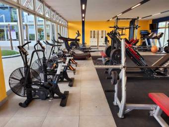 Se alquila apartamento en Cinco Esquinas Tibás 26-1502