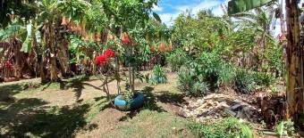 VENTA DE LOTE EN SANTO DOMINGO DE HEREDIA VENTA DE LOTE EN SANTO DOMINGO DE HEREDIA