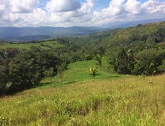 Costa Rica, Property for sale rainforest and water springs