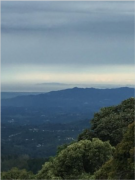 TERRAQUEA Viva en un Paraíso verde cerca de la ciudad. Finca de 60 000 m2