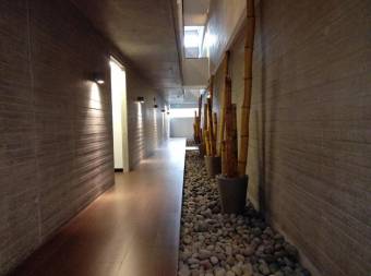 Xs Loft Apartamento Amueblado en Alquiler, San Pedro, Montes De Oca,