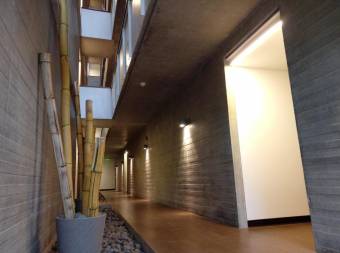 Xs Loft Apartamento Amueblado en Alquiler, San Pedro, Montes De Oca,