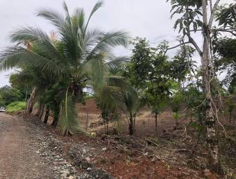 LOT READY TO BUILD CLOSE TO TOWN - TRANQUI QUITE PLACE.