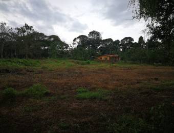 Property in Sarapiqui, Costa Rica