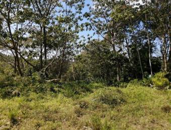 Venta de lote ubicado en Puntarenas, Aguirre, Quepos