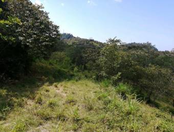 Venta de lote ubicado en Puntarenas, Aguirre, Quepos