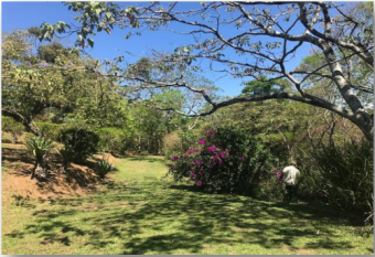 Venta de lote ubicado en San José, Santa Ana, Piedades