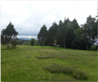 Venta de lote ubicado en San José, Moravia, Platanar