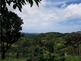 V#201 Maravillosa Finca en Venta/Guanacaste