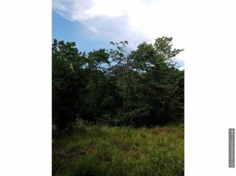 V#201 Maravillosa Finca en Venta/Guanacaste