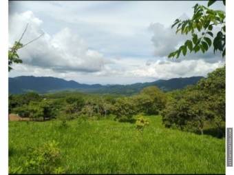 V#202 Bella Finca en Venta/Guanacaste