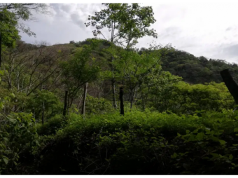 V#232 Bello Lote en Venta/Santa Cruz-Guanacaste