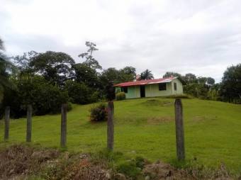 Excelente terreno en Venta, Guapiles centro       CG-20-1180