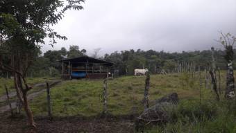 Excelente Finca en Venta, Pocora de Guacimo          CG-21-1847