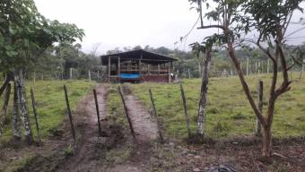 Excelente Finca en Venta, Pocora de Guacimo          CG-21-1847