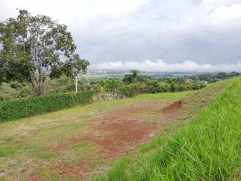 Lote en venta en Naranjo, Alajuela. RAH 22-1270