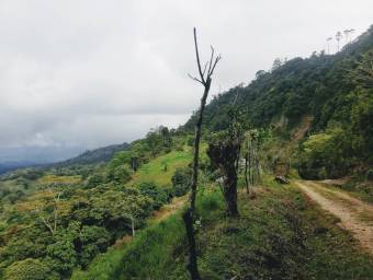 Casa en venta en Turrialba, Cartago. RAH 22-1384