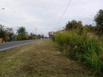   TERRENO EN VENTA A 15 MINUTOS DE GUAPILES.  CG #20-1181.