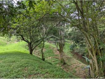 SE VENDE HERMOSO LOTE, EN CONDOMINIO HACIENDA NATURA