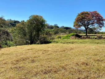 Lote en Venta en Santa Bárbara, Heredia. RAH 23-2268