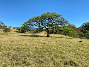 Lote en Venta en Santa Bárbara, Heredia. RAH 23-2268