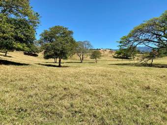 Lote en Venta en Santa Bárbara, Heredia. RAH 23-2268