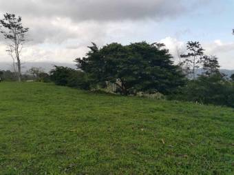 MLS-23-1699 VENTA LOTE SAN JUAN TURRIALBA 