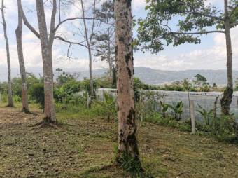 MLS-23-1699 VENTA LOTE SAN JUAN TURRIALBA 