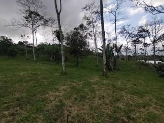 MLS-23-1699 VENTA LOTE SAN JUAN TURRIALBA 