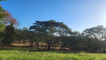 MLS-23-2168 VENTA LOTE LIBERIA GUANACASTE