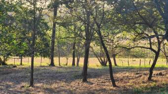 MLS-23-2167 VENTA LOTE LIBERIA GUANACASTE 