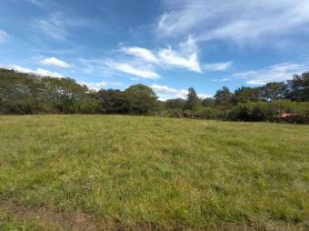 MLS-22-906 VENTA LOTE LA GARITA ALAJUELA 