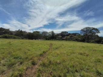 MLS-22-906 VENTA LOTE LA GARITA ALAJUELA 