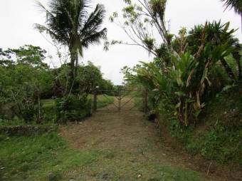 BELLA FINCA EN SANTA MARTA DE SIQUIRRES.  CG 20-1740.