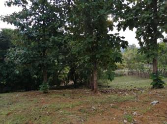 Terreno en Venta en Hojancha, Guanacaste MLS #23-2445 CL