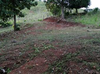 Terreno en Venta en Hojancha, Guanacaste MLS #23-2445 CL