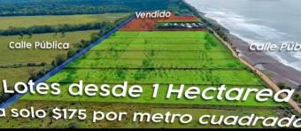 Venta de 29 hectáreas en Playa Hermosa con permiso para casino, hotel, tiendas, etc