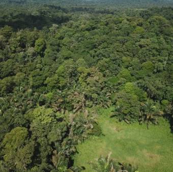 Se venden 182 hectáreas en Guapiles y como plus se dan 82 en Parrita 