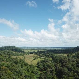 Se venden 182 hectáreas en Guapiles y como plus se dan 82 en Parrita 