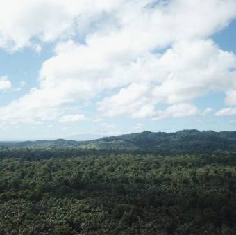 Se venden 182 hectáreas en Guapiles y como plus se dan 82 en Parrita 