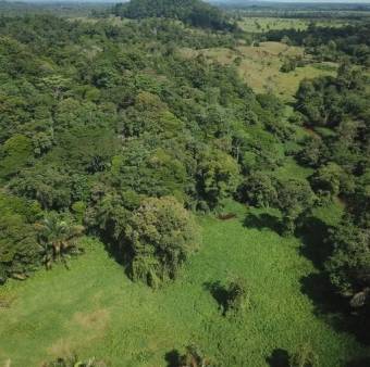 Se venden 182 hectáreas en Guapiles y como plus se dan 82 en Parrita 