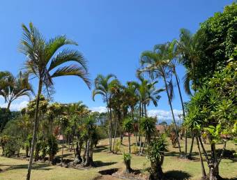 For sale beautiful property in Alto Varas, Turrialba, Cartago.