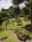 For sale beautiful property in Alto Varas, Turrialba, Cartago.